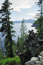 Cleetwood Cove hike.