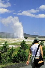 Old Faithful from distance.