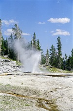 Steamy geyser.