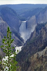 Yellowstone Falls.