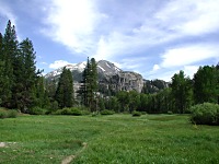 Upper Meadow