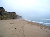 San Gregorio Beach