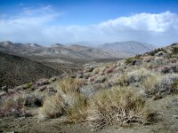 Hunter Mountain (middle of nowhere), CA