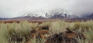 Owens Valley, Bishop, CA