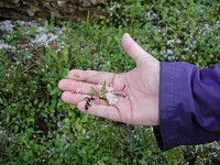 Hail plan was met, too