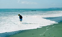 San Simeon Beach, CA