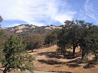 Lick Observatory