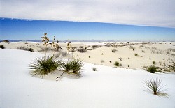 White Sands, NM