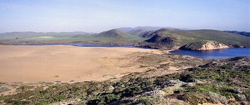 Landscape at Point Reyes