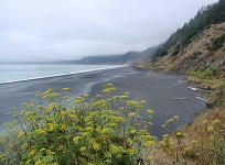 Black Sands Beach