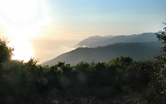 Lost Coast