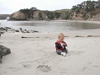 Tom checking out digestibility of leaves on a sand beach