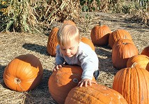 Tom among pumkins