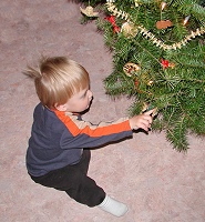 First encounter with a decorated tree