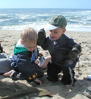 K.C. and Tom burying a sock on a beach