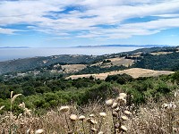 Summer inversion in Silly Valley