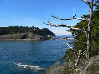 Point Lobos