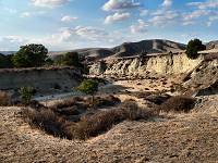 Palo Prieto Canyon