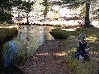 Lisa won't wake to the bubbling of a mountain brook