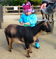 Lisa with a goat