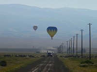 Balony a ovce