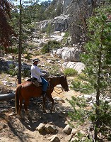 Among rocks