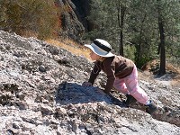 Lisa climbing a rock