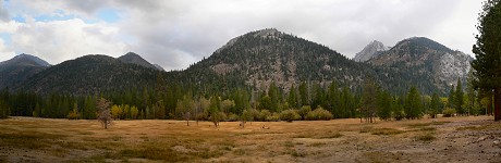 Robinson Creek Meadow