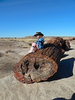 Lisa on a petrified log