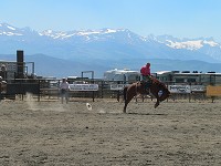 Bronco riding