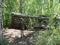 Prospector's cabin in Lundy Canyon