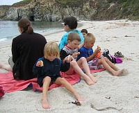 A beach at Point Lobos