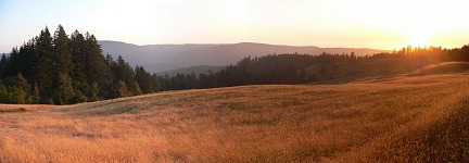 Sunset with a meadow, forest and an ocean.