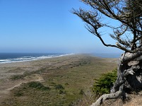 South Jetty near Eureka