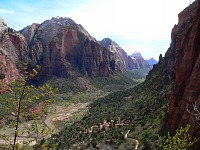 Údolí pod Angels Landing