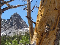 Dunderberg Peak