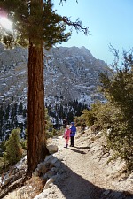 Stezka na Mt. Whitney.