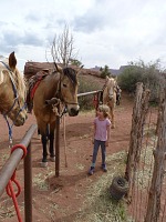Lisa mezi koňmi na Hauerově ranči, Utah. Lisa mezi koňmi na Hauerově ranči, Utah.