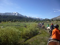 Na koních na Leavitt Meadows. Na koních na Leavitt Meadows.