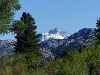 Tower Peak vévodí každé vyjížďce na Leavitt Meadows.