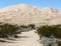 Kelso Dunes - nejvyšší duna vypadá blízko a dosažitelně. Kelso Dunes - nejvyšší duna vypadá blízko a dosažitelně.