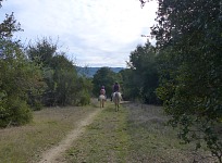Koňská vycházka. Koňská vycházka.