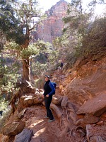 Na pohodlném chodníčku k vyhlídce na Zion Canyon nás brzy
čekalo překvapení. Na pohodlném chodníčku k vyhlídce na Zion Canyon nás brzy
čekalo překvapení.