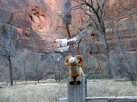 Naše ovce v Národní parku Zion, Utah. Naše ovce v Národní parku Zion, Utah.