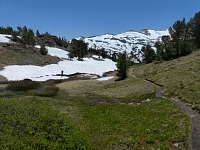 Tom byl jediný, kdo nefuněl a zbývalo mu dost energie ještě pobíhat okolo a blbnout.