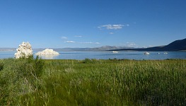 Severní Mono Lake.
