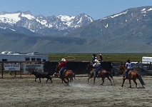Chytit tele je těžší, než by se zdálo.