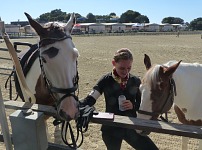 Zleva Cody, trenérka Makayla a kobylka Jacy.