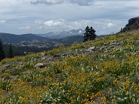 Jižní svahy Whisky Slide.