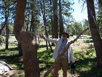 Zde, zázrak přírody...